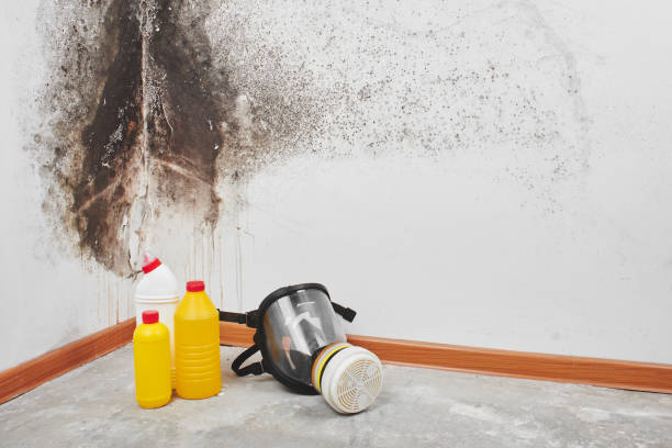 Best Mold Odor Removal Services  in Topeka, KS